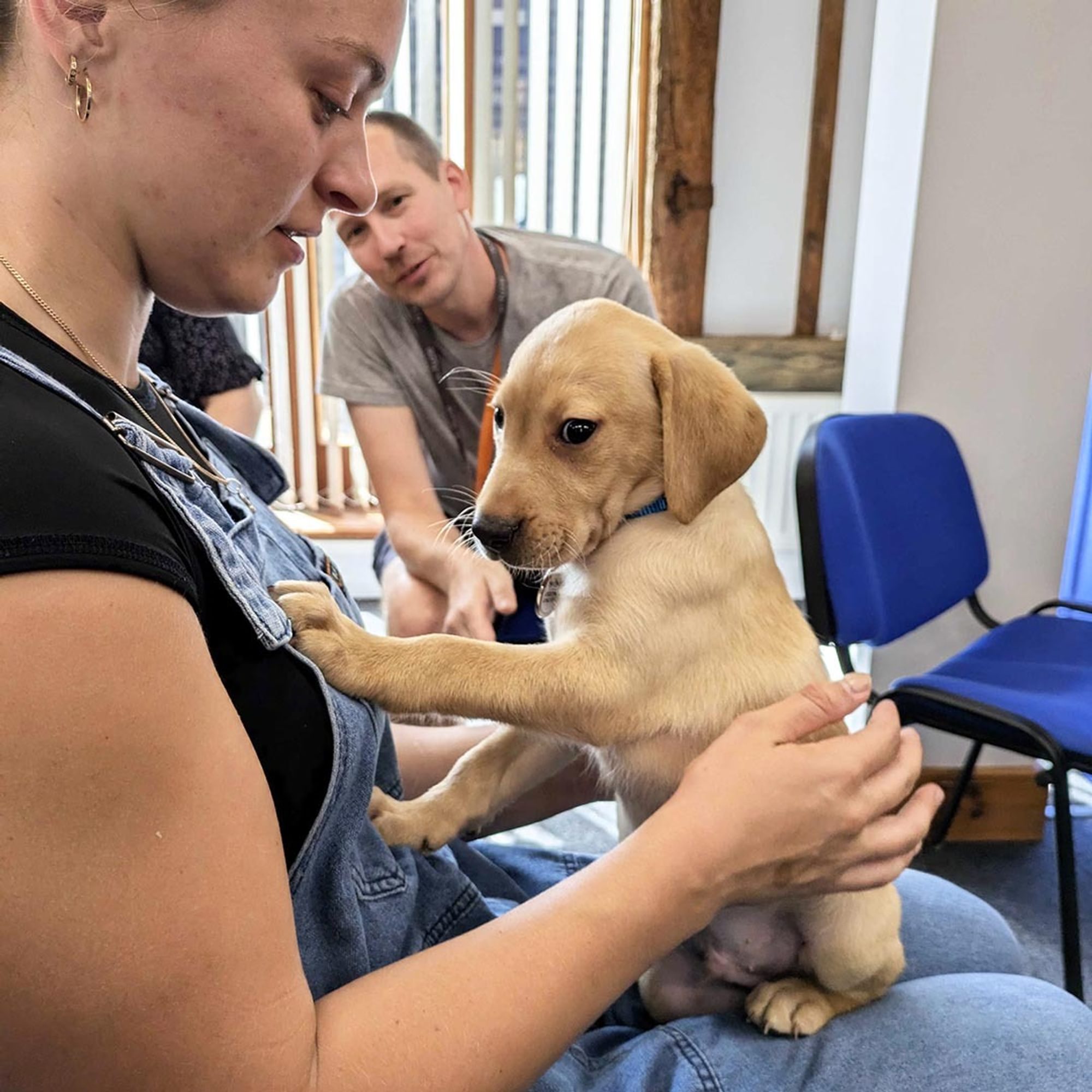 A puppy sits on a woman’s lap looking sleepy while a man looks on smiling